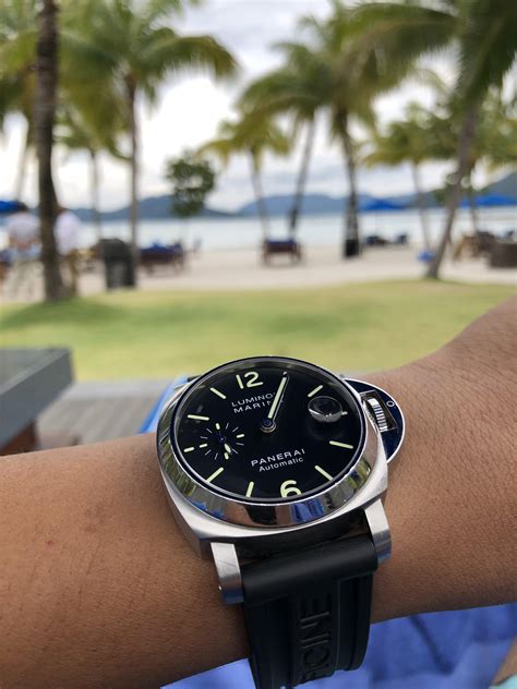 panerai pam 0048 review|luminor gmt panerai automatic price.